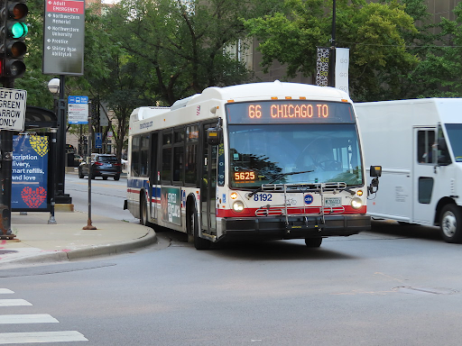 Bus